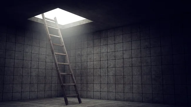 Freedom ladder